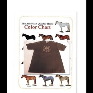 NWOT  Christine Alexander Blinged Horse Shirt SZ M